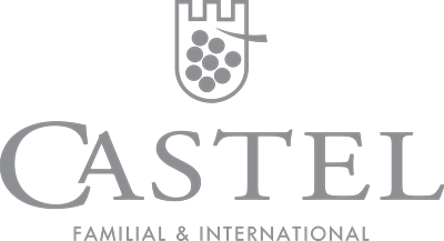 Logo Castel, familial & international — CSE accompagné par Agora CSE