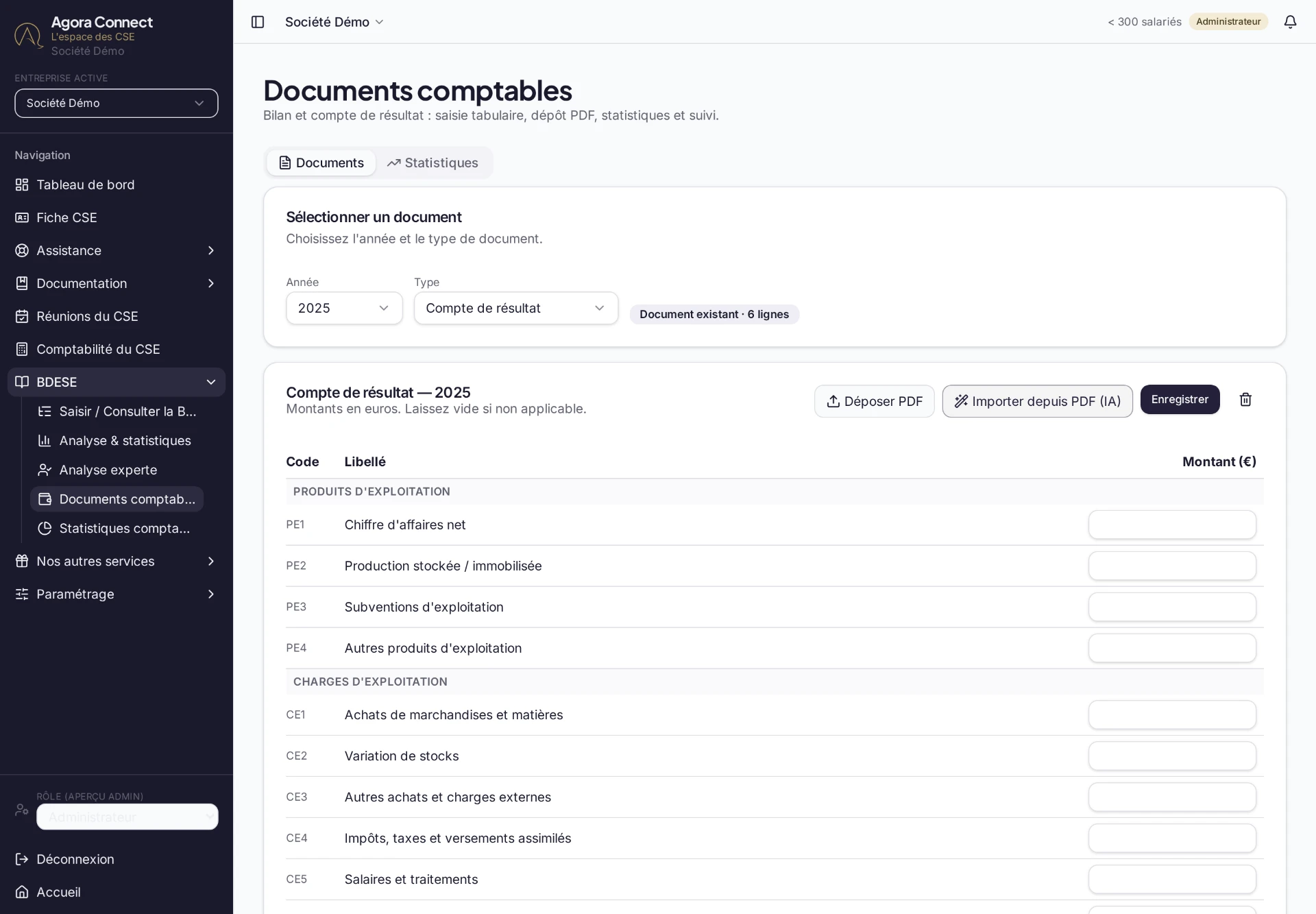 Documents comptables de l'entreprise saisis dans Agora Connect